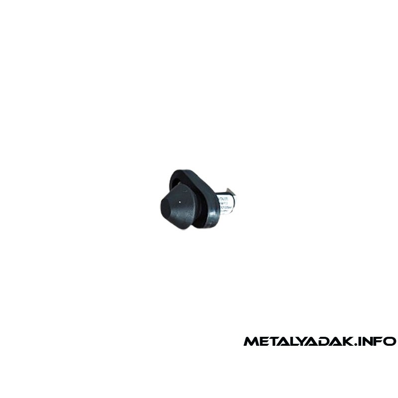 کلید درب سمند