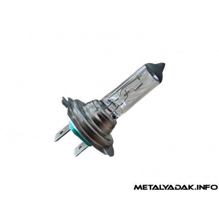 خرید لامپ h7 فاگیس