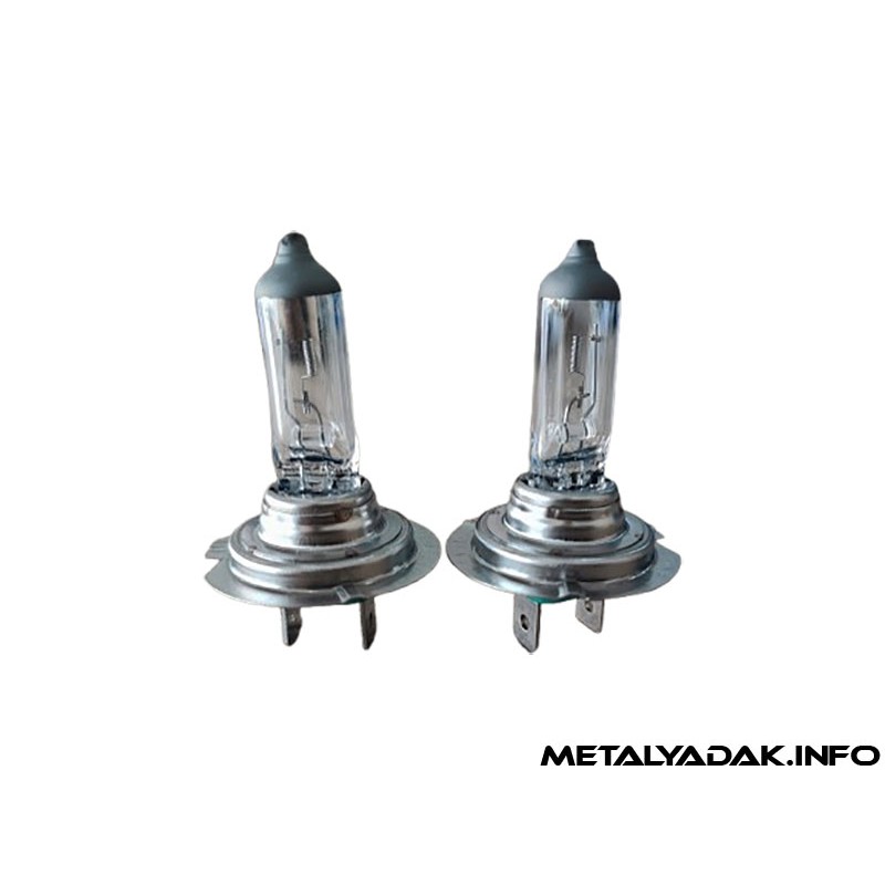 لامپ دو پایه فاگیس