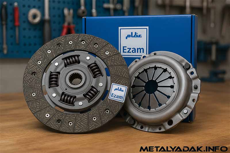 عظام کیه و چی تولید میکنه